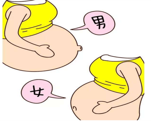 试管婴儿放一枚胚胎好还是两枚胚胎好一些